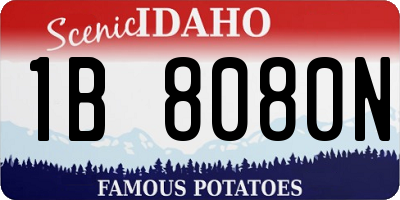 ID license plate 1B8080N