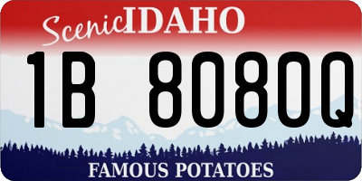 ID license plate 1B8080Q