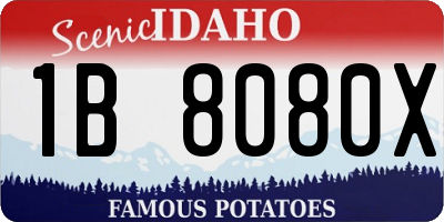 ID license plate 1B8080X