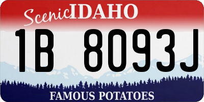 ID license plate 1B8093J