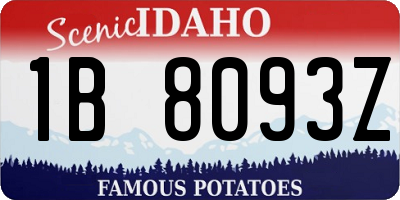 ID license plate 1B8093Z