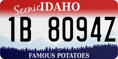 ID license plate 1B8094Z