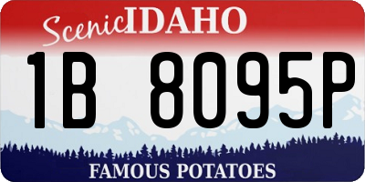 ID license plate 1B8095P