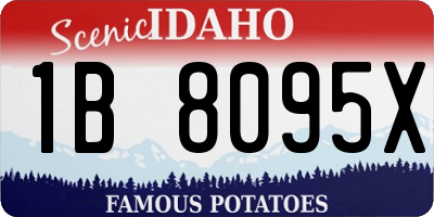ID license plate 1B8095X