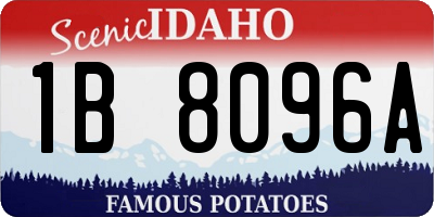 ID license plate 1B8096A