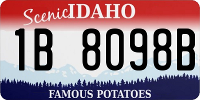 ID license plate 1B8098B