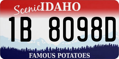 ID license plate 1B8098D