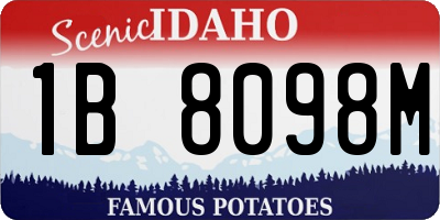 ID license plate 1B8098M