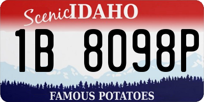 ID license plate 1B8098P