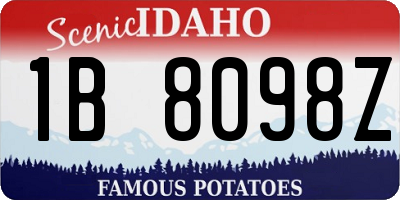 ID license plate 1B8098Z