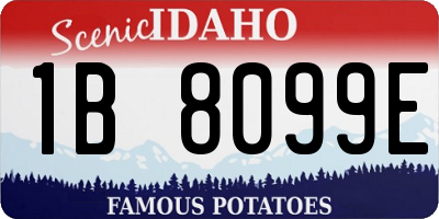 ID license plate 1B8099E