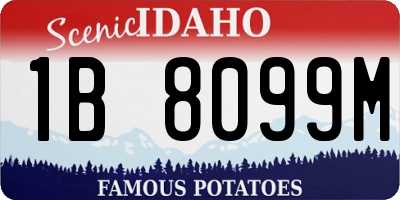 ID license plate 1B8099M