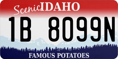 ID license plate 1B8099N