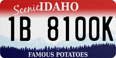 ID license plate 1B8100K