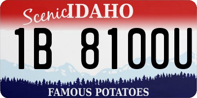 ID license plate 1B8100U