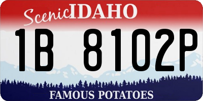 ID license plate 1B8102P