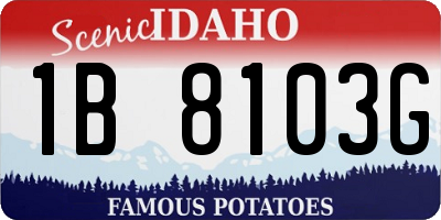 ID license plate 1B8103G
