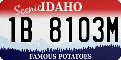 ID license plate 1B8103M