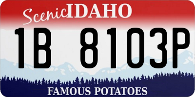 ID license plate 1B8103P