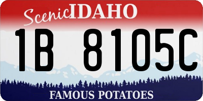 ID license plate 1B8105C