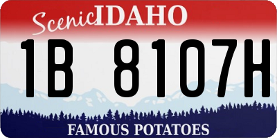ID license plate 1B8107H