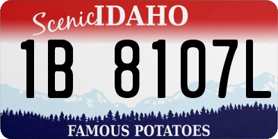 ID license plate 1B8107L