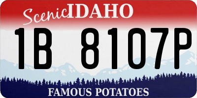 ID license plate 1B8107P