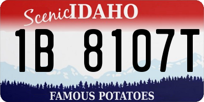 ID license plate 1B8107T