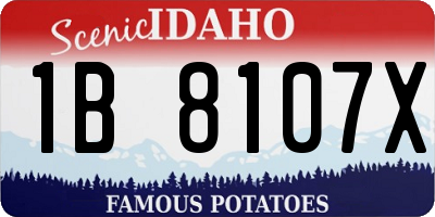ID license plate 1B8107X