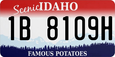 ID license plate 1B8109H