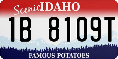 ID license plate 1B8109T