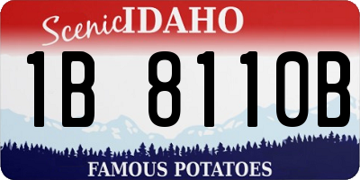 ID license plate 1B8110B
