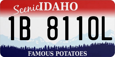 ID license plate 1B8110L