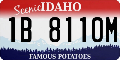 ID license plate 1B8110M