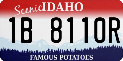 ID license plate 1B8110R