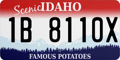 ID license plate 1B8110X