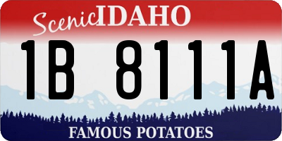 ID license plate 1B8111A
