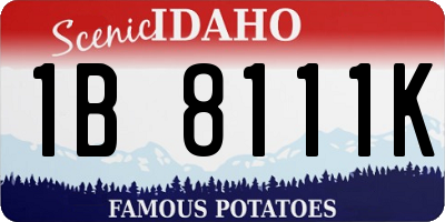 ID license plate 1B8111K