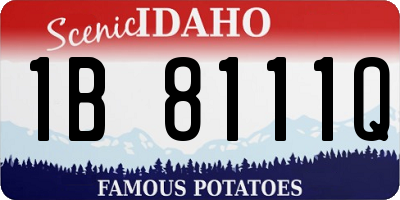 ID license plate 1B8111Q