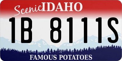 ID license plate 1B8111S