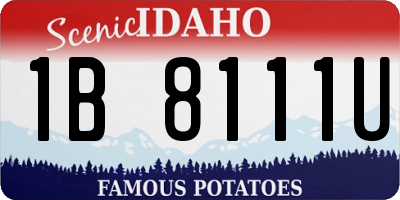 ID license plate 1B8111U
