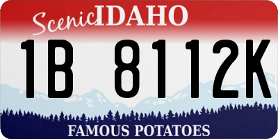 ID license plate 1B8112K