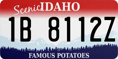 ID license plate 1B8112Z
