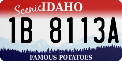 ID license plate 1B8113A
