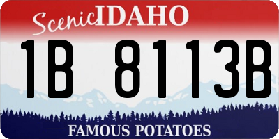 ID license plate 1B8113B