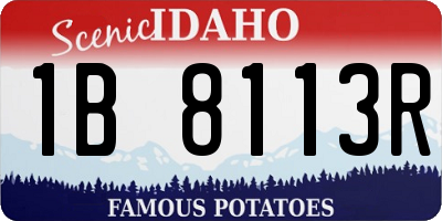 ID license plate 1B8113R