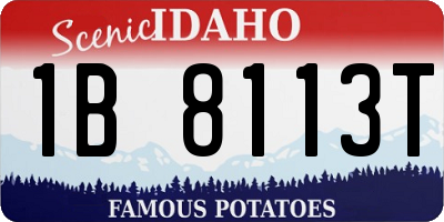 ID license plate 1B8113T