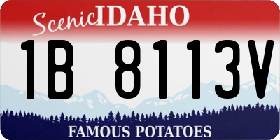 ID license plate 1B8113V