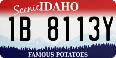 ID license plate 1B8113Y