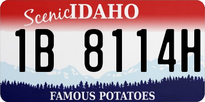 ID license plate 1B8114H